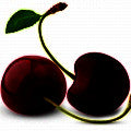 tete