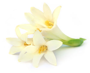 tete