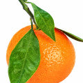 tete