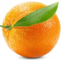 tete